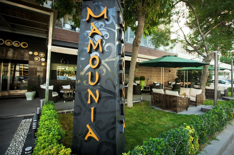 Photograph of Mamounia